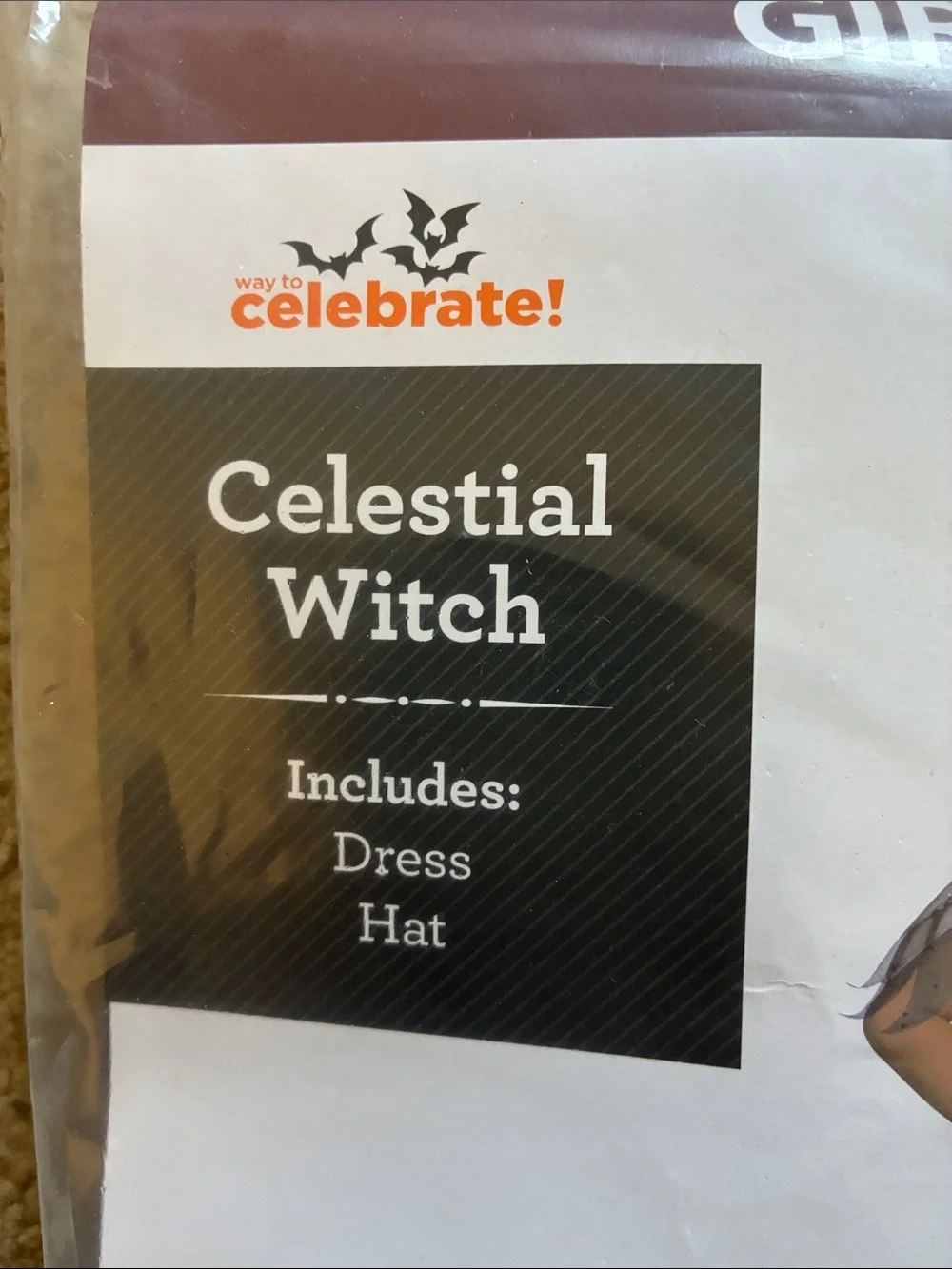 Way To Celebrate Celestial Witch Halloween Costume - Size S (6/6X)